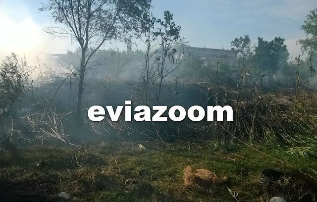 Χαλκίδα: «Κόλαση» φωτιάς στη Λιανή Άμμο - Απειλήθηκαν σπίτια (ΦΩΤΟ & ΒΙΝΤΕΟ)