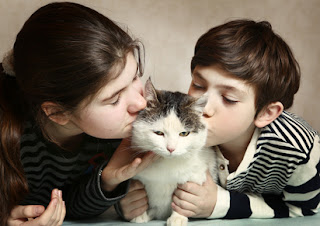 L’Euthanasie chez les animaux : comment en parler à vos enfants ?