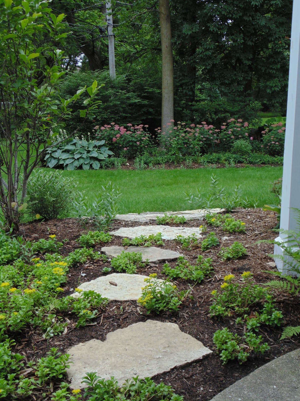 Planting Ideas Garden Design