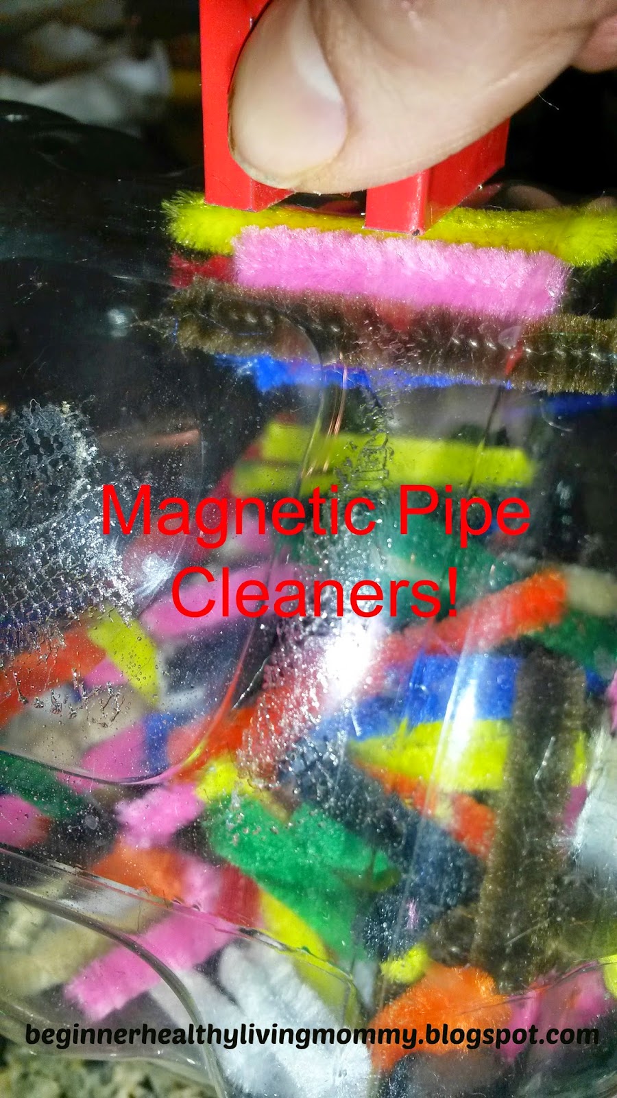 Motivated Mommy Clayton's Blog Pipe Cleaners!