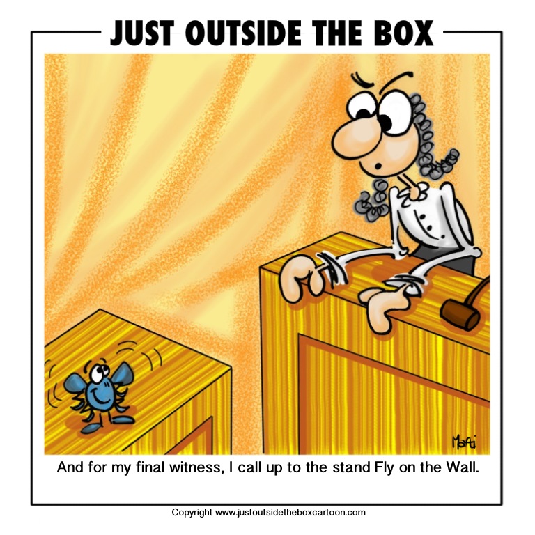 English It's now or never A fly on the wall O que significa essa