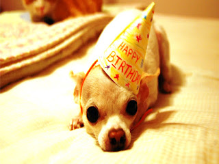Happy Birthday Images Happy Birthday Images