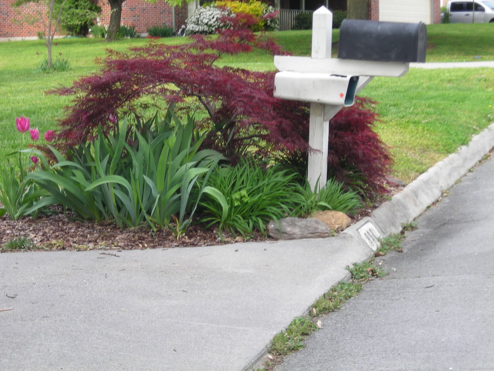 Idea here Ideas for landscaping around mailbox