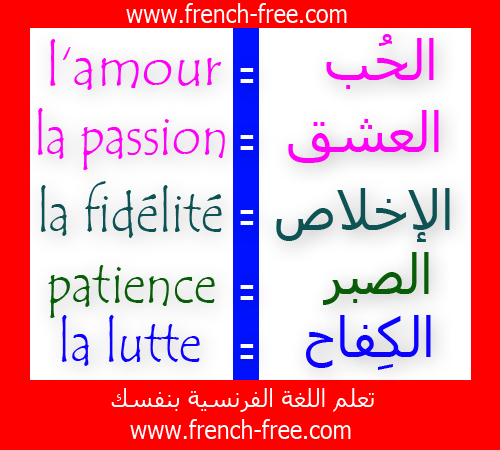  الدرس 1 : تعلم اللغة الفرنسية بالكلمات وجمل مترجمة بالعربية و الفرنسية  1+module+5+mots
