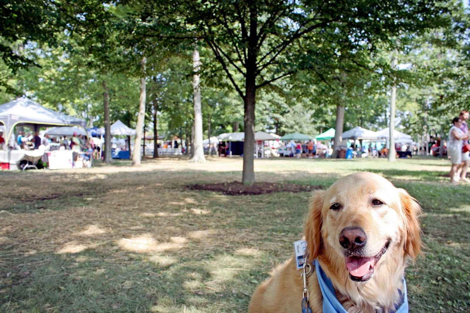 Raising a Super Dog moved to Air conditioning doesn't