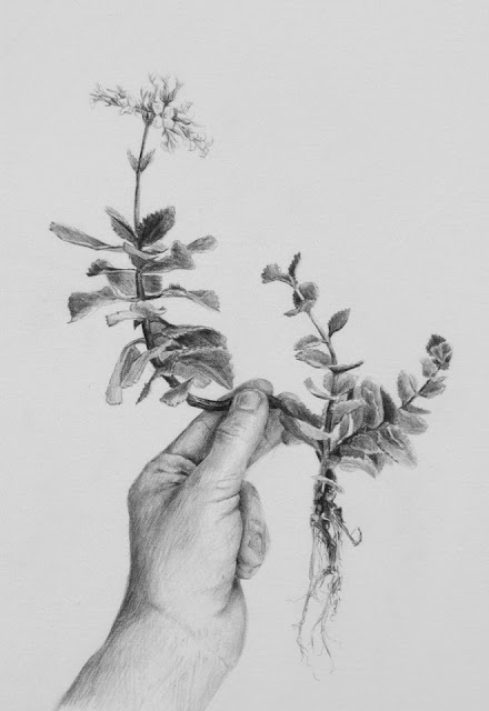 Tejiendo el instante - Ana Teresa Barboza (Galería Wu)