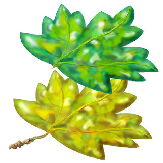 Chlorophyll and Carotenoids Exist At Same Time Chlorophyll and Carotenoids Exist At Same Time