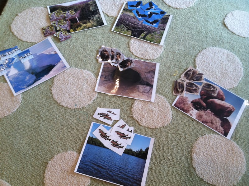 my little preschool: animal habitats