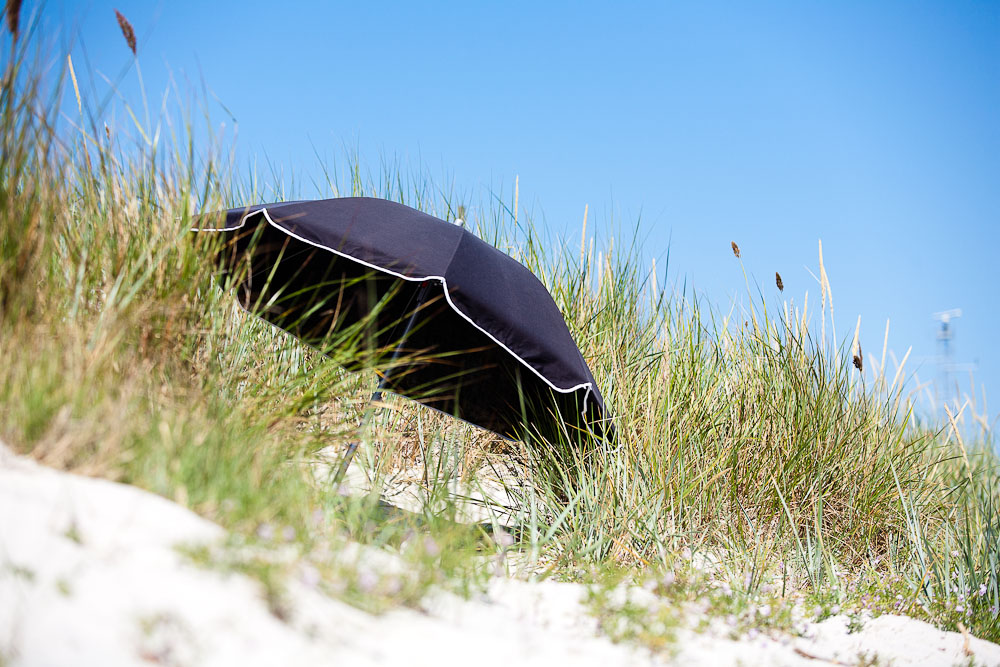 IMAGE: http://4.bp.blogspot.com/-jzWf3z8L9KI/TguQ7SalERI/AAAAAAAAHKc/JzaLcgHnN8w/s1600/IMG_7597-2.jpg