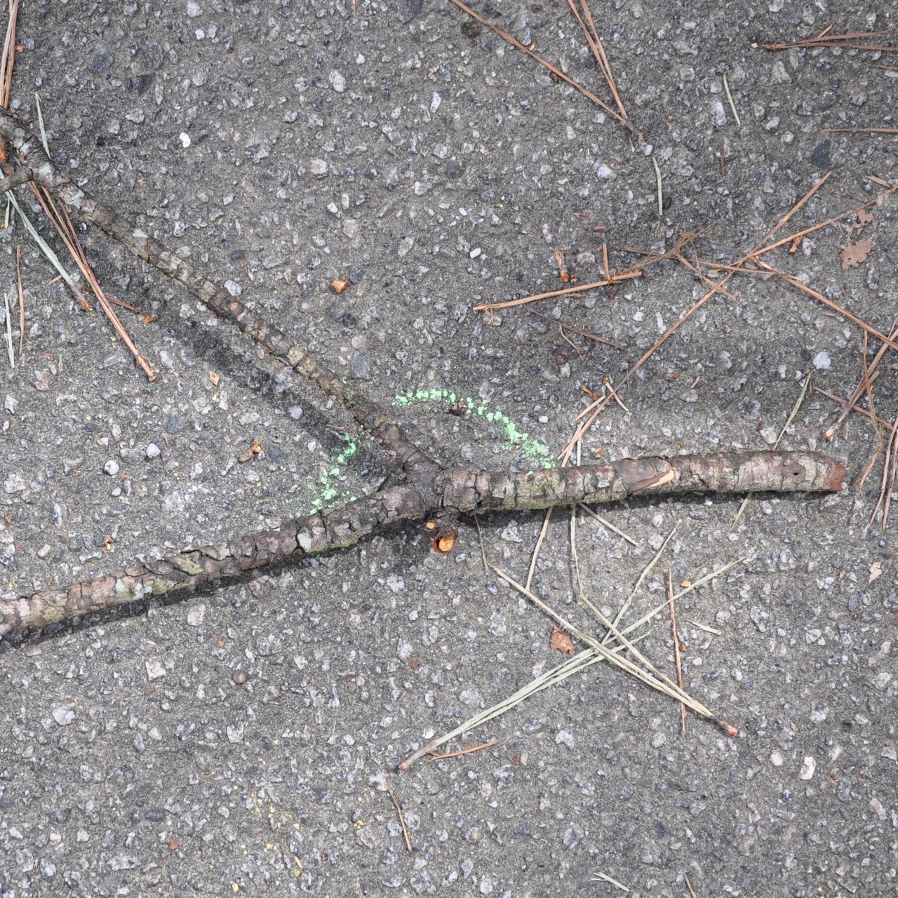 Albums 102+ Pictures Pictures Of Angles In Real Life Full HD, 2k, 4k