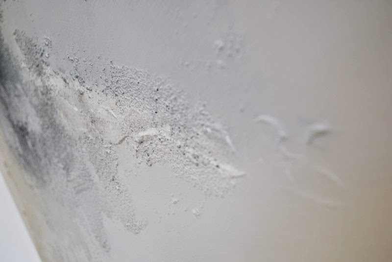 Wandbilder Acrylbilder Leinwandbilder Handgemalt Wandbild