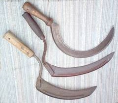 Anim Agro Technology: SABIT