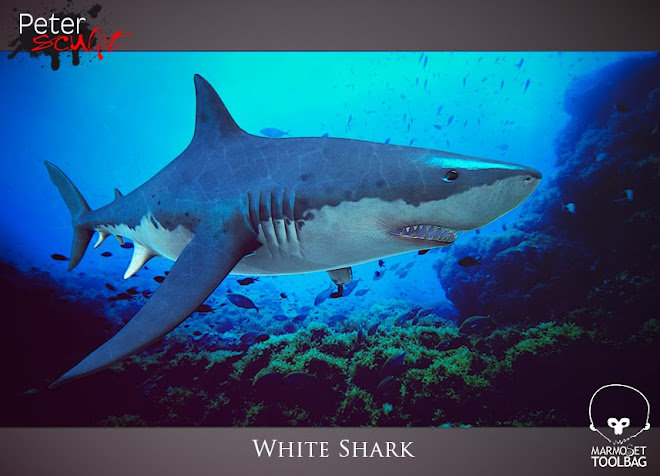 White Shark