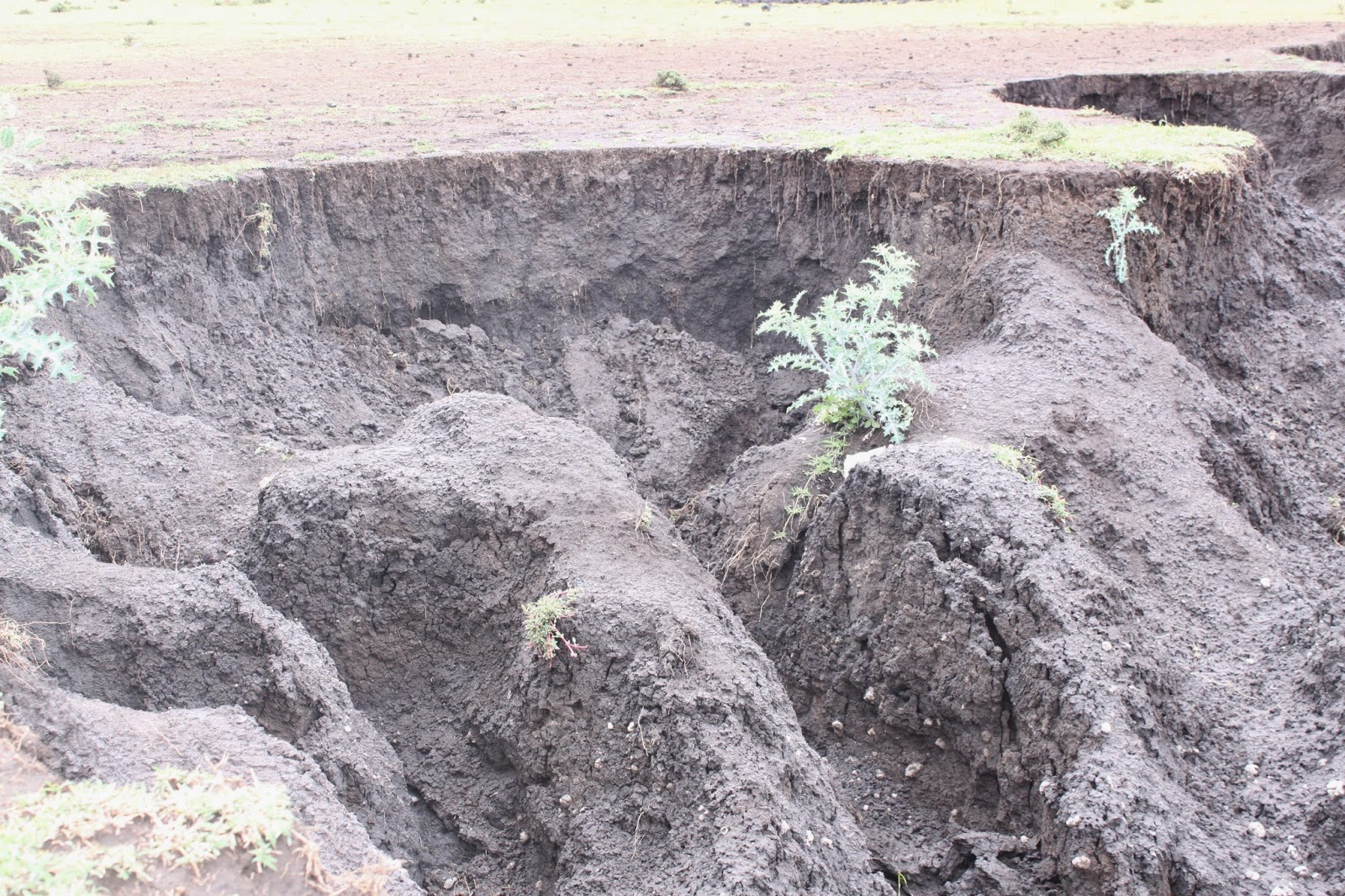 HOLILI YOUTH ATHLETICS CLUB HAYATI EDWARD MORINGE SOKOINE NA SOKOINE