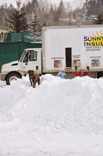 Snowball Fort