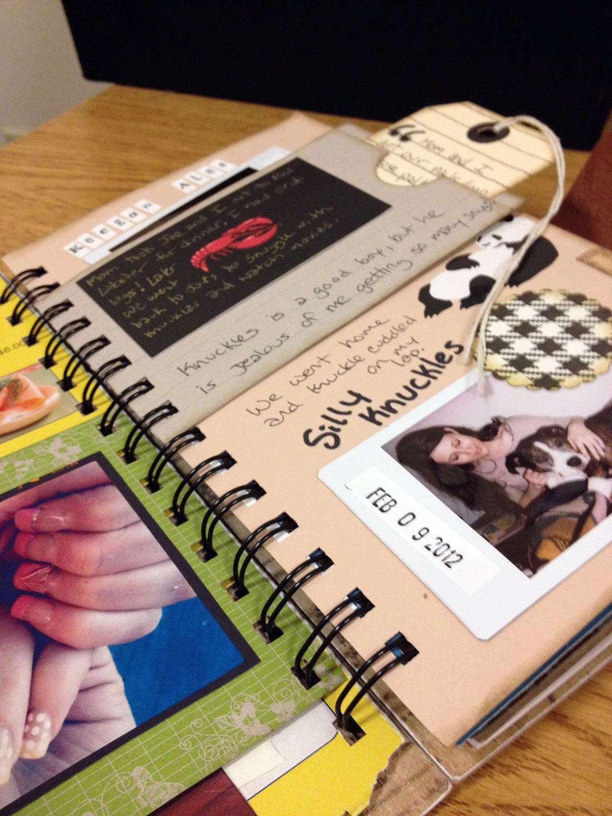 Miss Kitty and the Bears Back in Alaska, Travel Scrapbook Finished