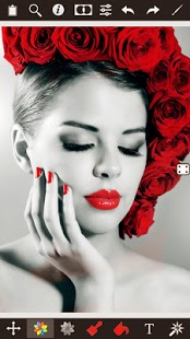 Color Splash Effect Pro Android Color Splash Effect Pro v1.6.1 APK Android