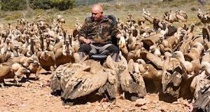 EL PASTOR DE BUITRES - FOTOS - PHOTOS