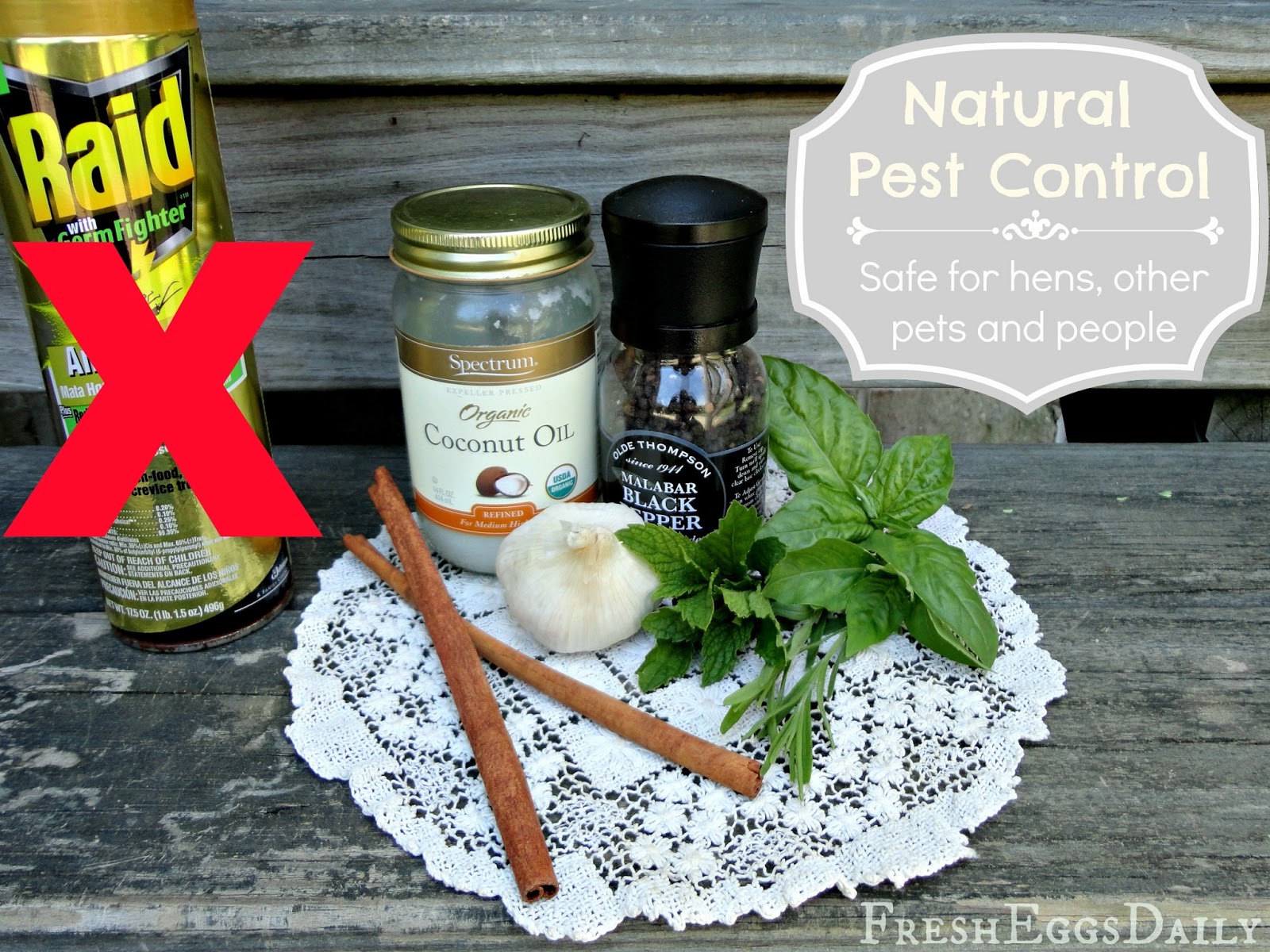 Natural Pest Control Safe for Chickens, Other Pets and People Fresh