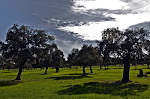 Guía del Valle de los Pedroches