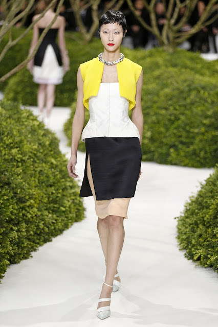 Christian Dior Spring 2013 Couture 