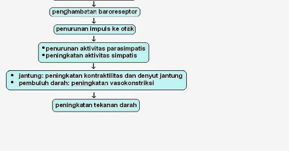 Perbedaan pembuluh nadi dan pembuluh vena