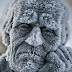 The 30 Most Amazing Photos Of Frozen Things In Honor Of The Coldest Morning Of The 21st Century