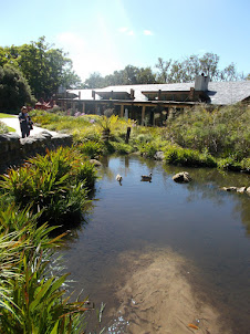 Kirstenbosch Botanical Garden in Cape Town.