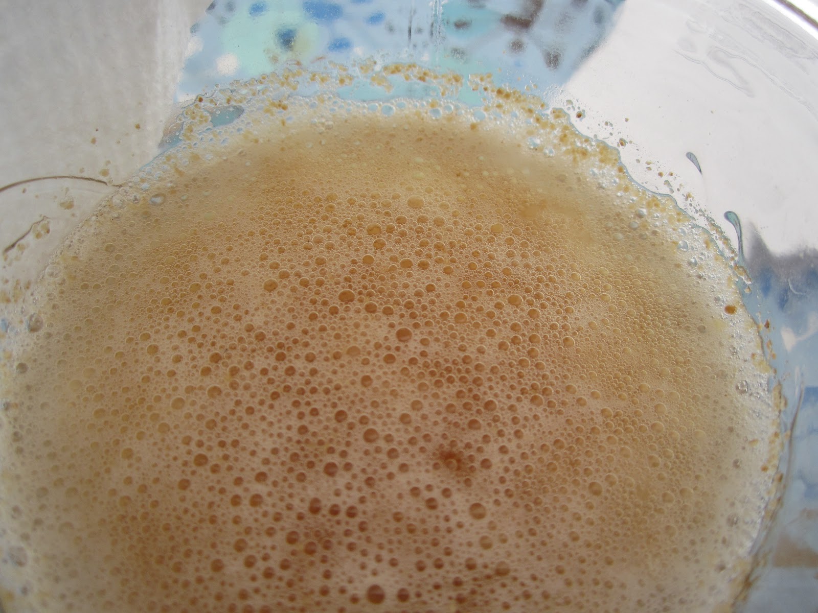 And Higher Still Fermentation The Ginger Beer Plant