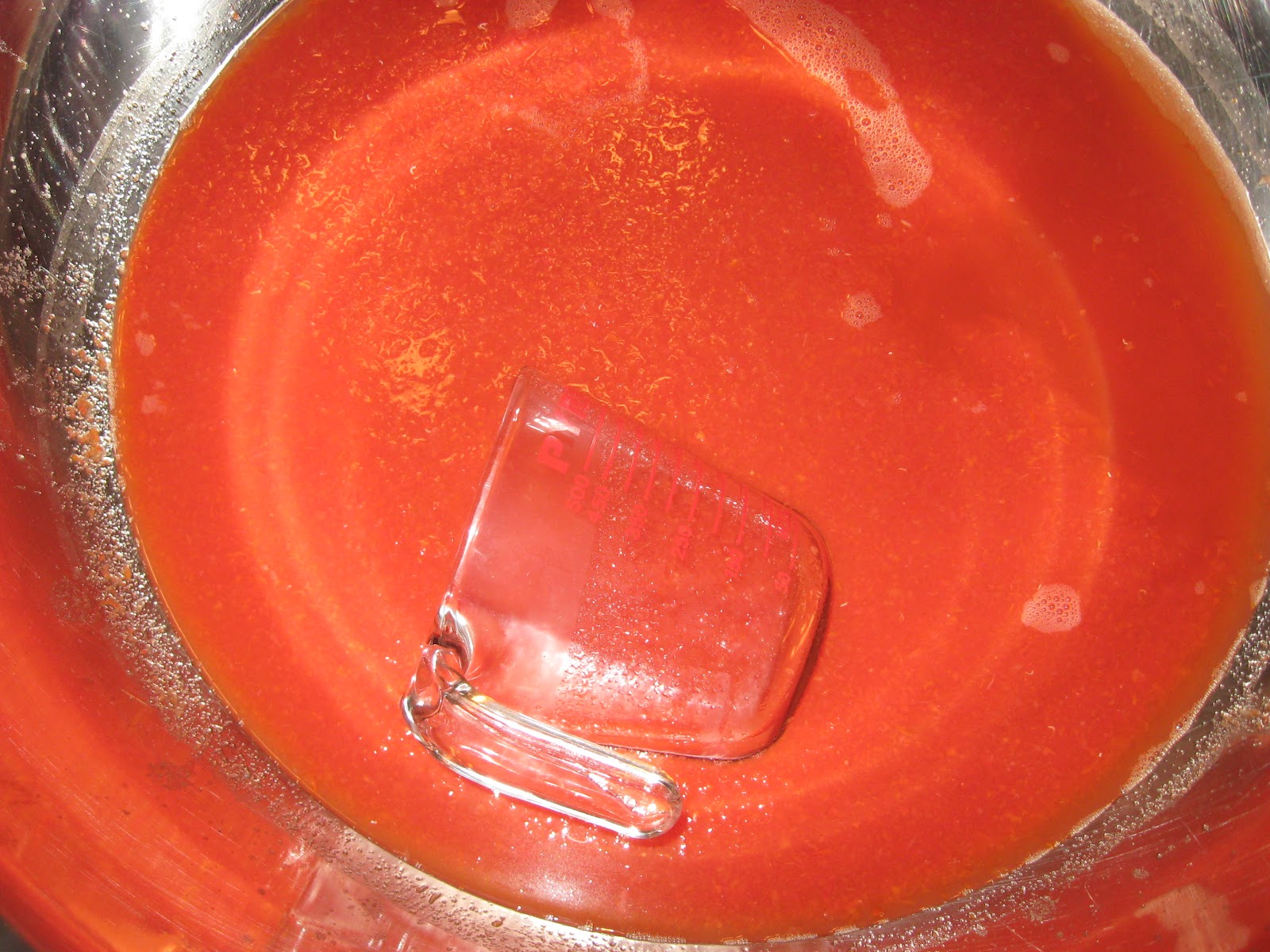 Wood Cookstove Cooking Homemade "Heinz" Ketchup