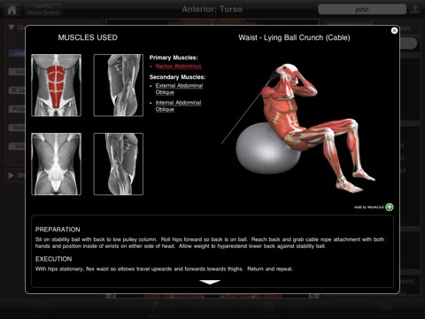 imuscle for mac