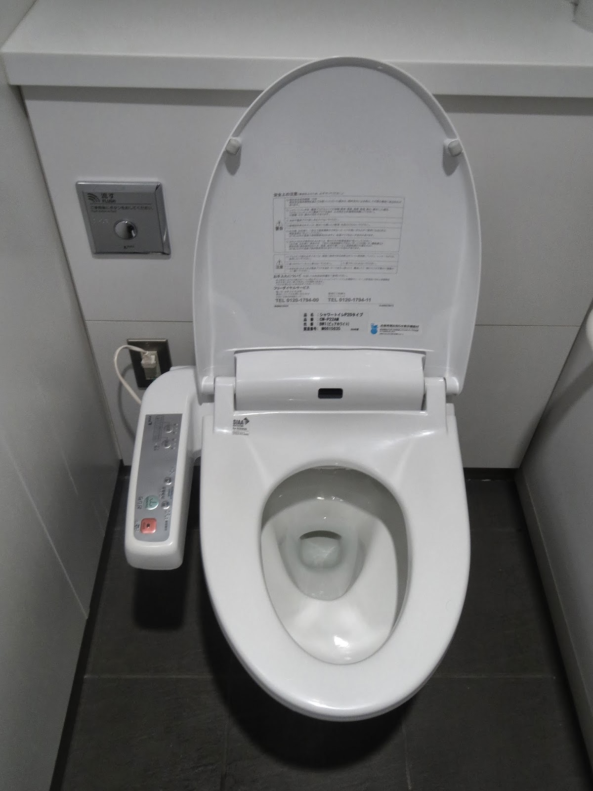 The Echinoblog EchinoTravelog Pt. 2 Living In Japan for SCIENCE! (and