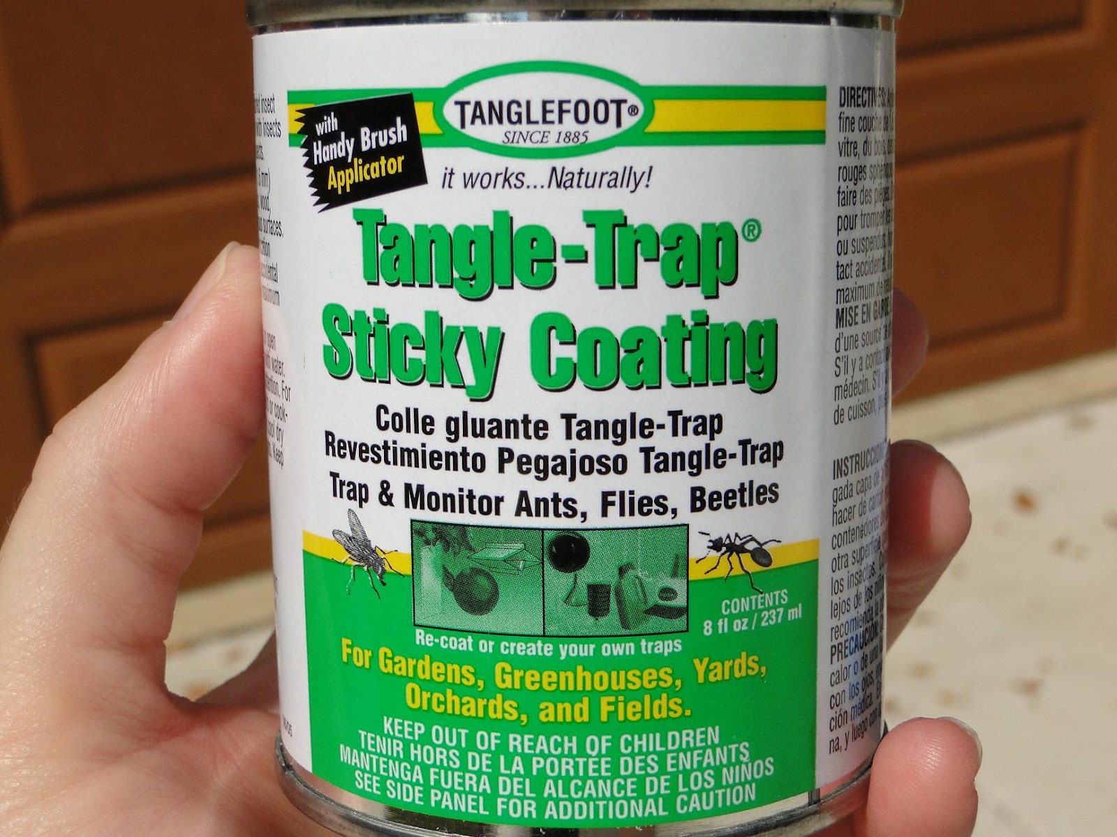 Pin by Robina G on pest trap Deer fly, Fly traps, Diy fly trap