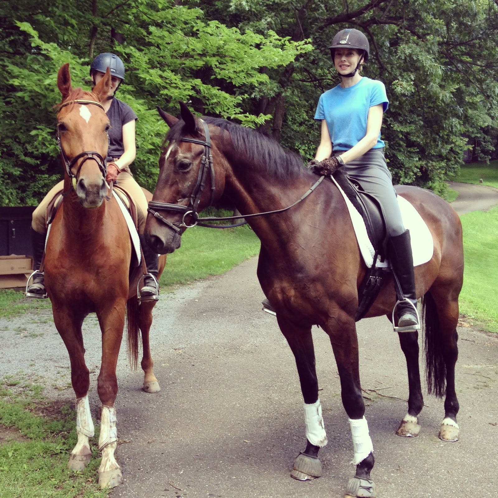 Emily Donaldson Dressage, LLC Hip hop hip hop