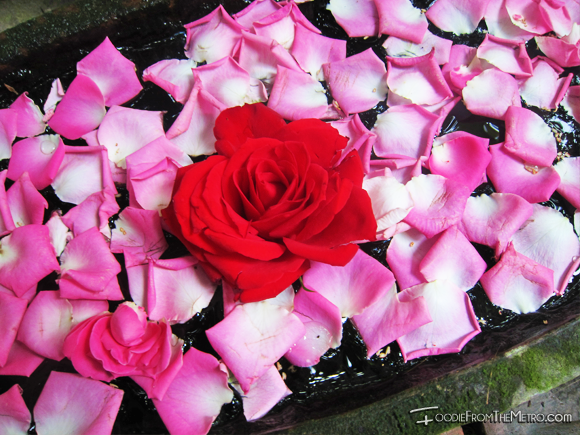 Red Rose