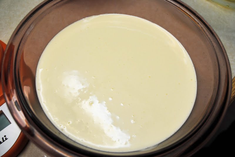 Butter Brickle Ice Cream