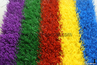 Rainbow Grass