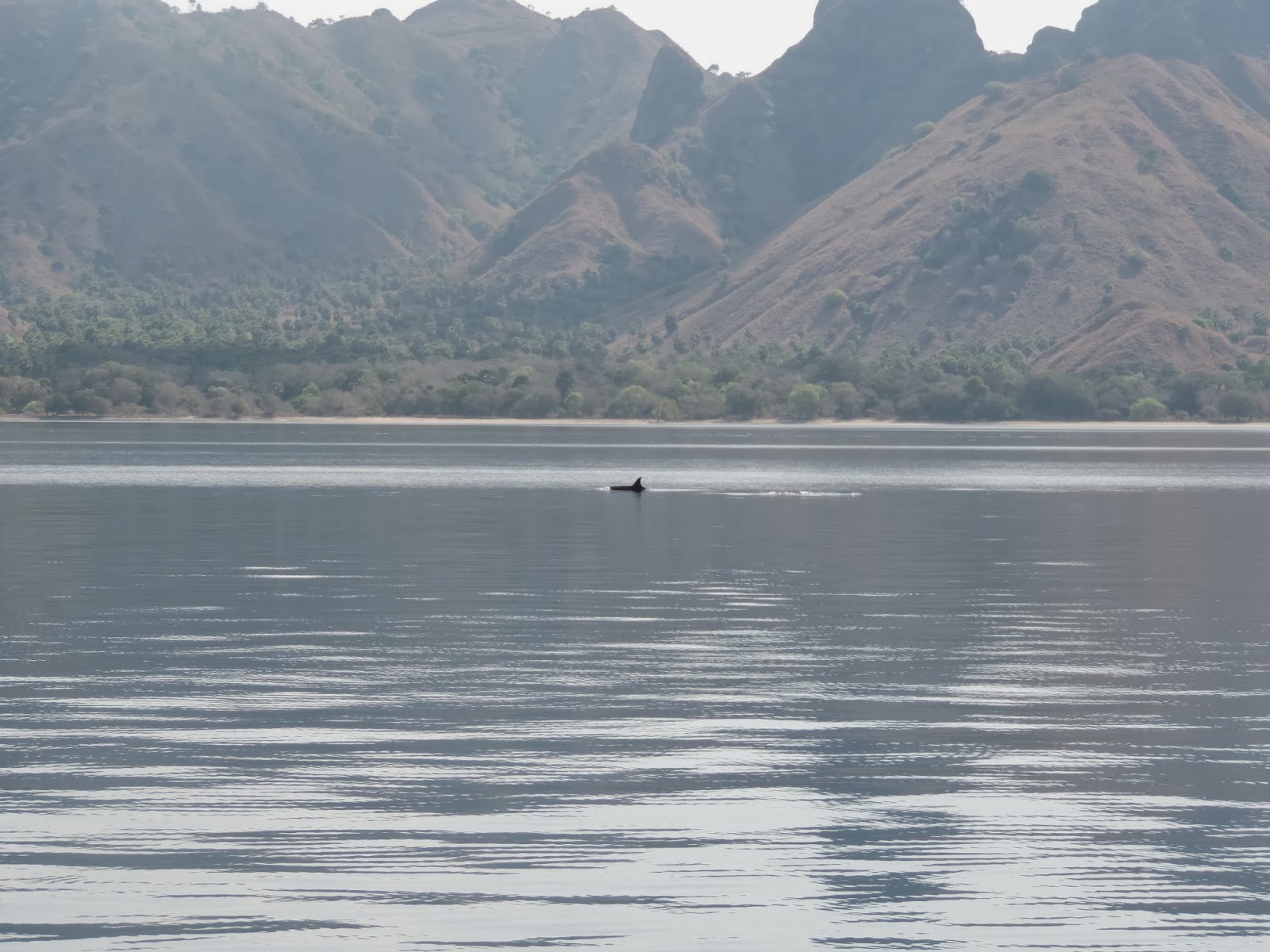 rencontre lake