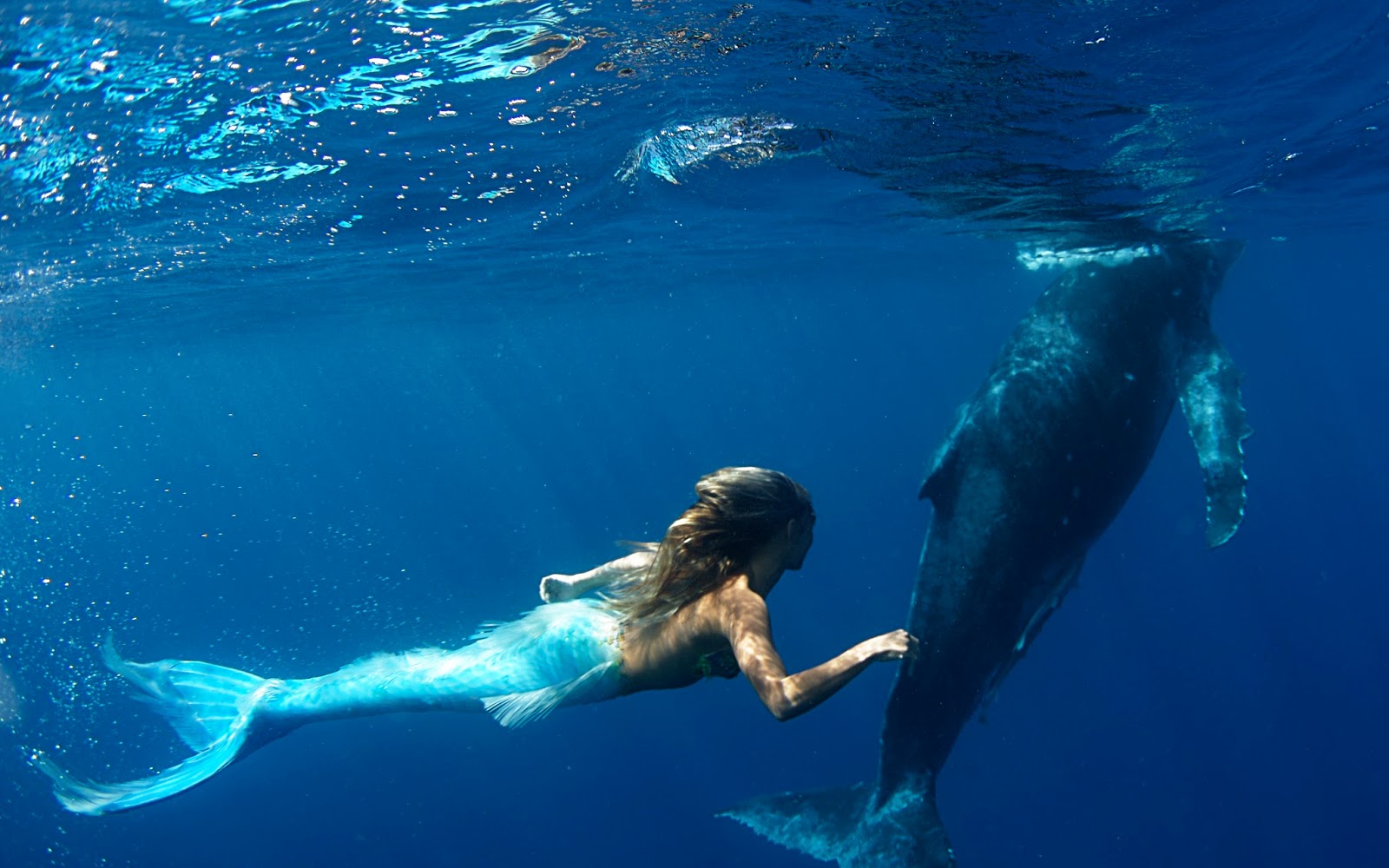 PHOTOBOT! Whale with Mermaid