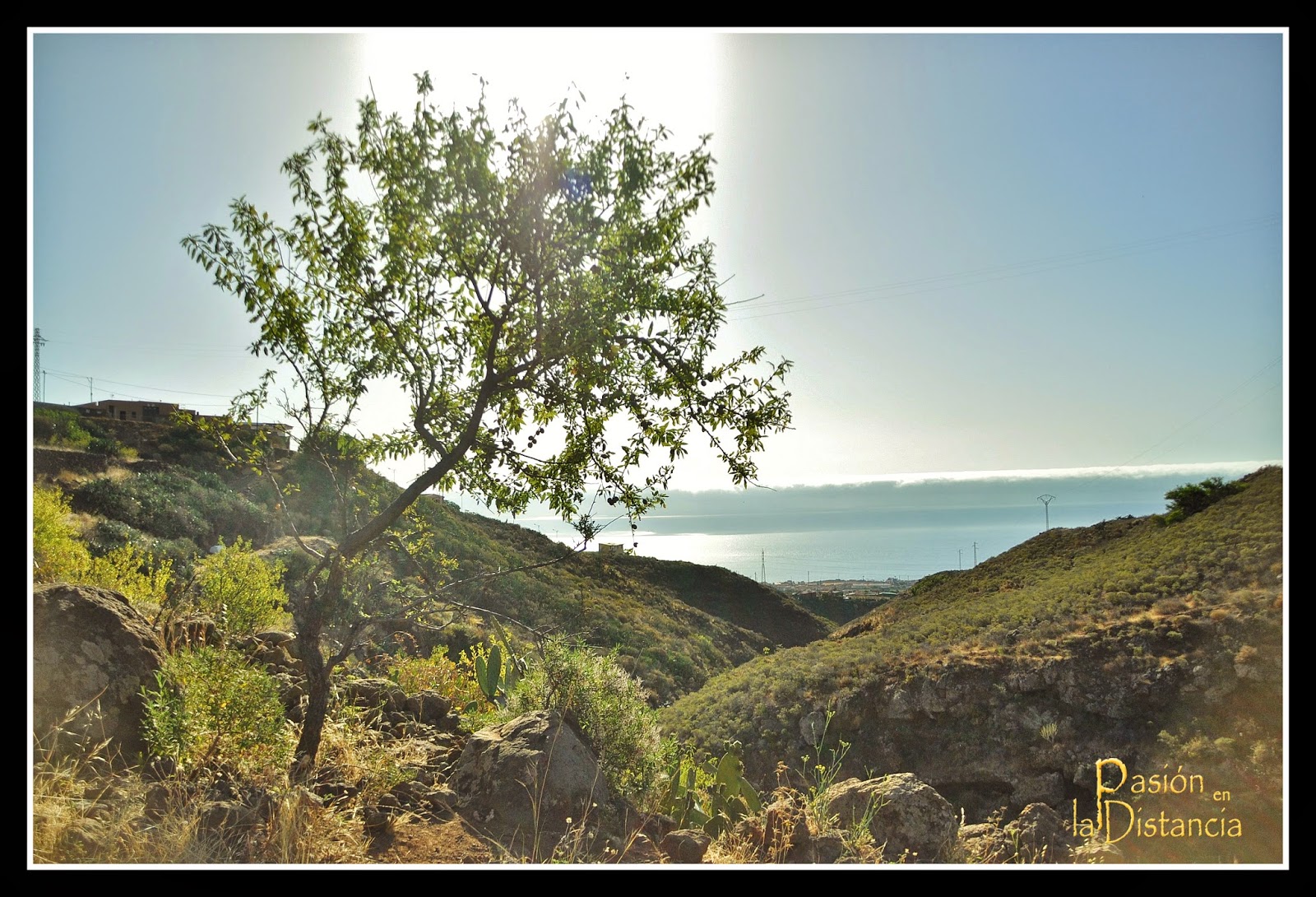 Camino_Viejo_de_Candelaria_Pasacola_Llano_del_Moro