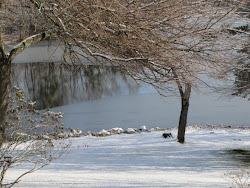 A Dusting of Snow!