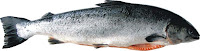 SALMÃO AO CREME SICILIANO salmao SALMÃO AO CREME SICILIANO