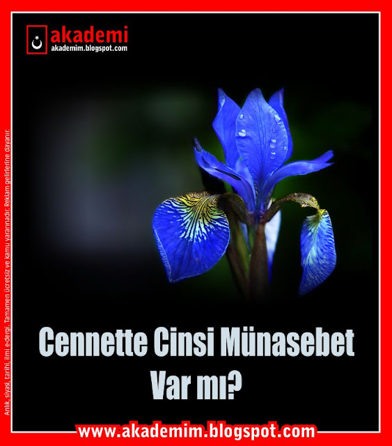 Cennette Cinsi Münasebet Var mı?