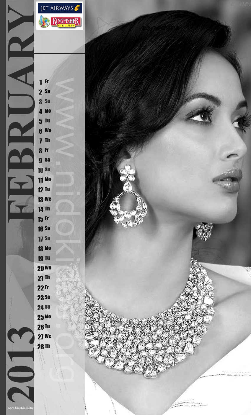 Kingfisher 2025 Calendar Google Drive Yvonne Paterson