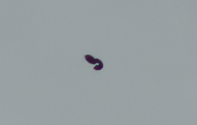 Shape Shifting UFO Shape Shifting UFO Captured Above Florida 2015, UFO Sightings