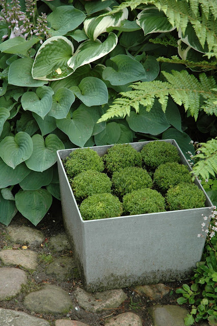 Havetid: planter i potter og skåle.