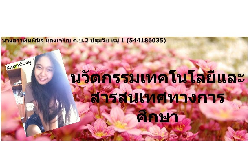 นวัตกรรมเทคโนโยและสารสนเทศทางการศึกษา