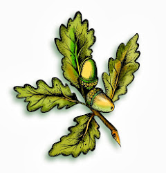 Oak Tree Illustration