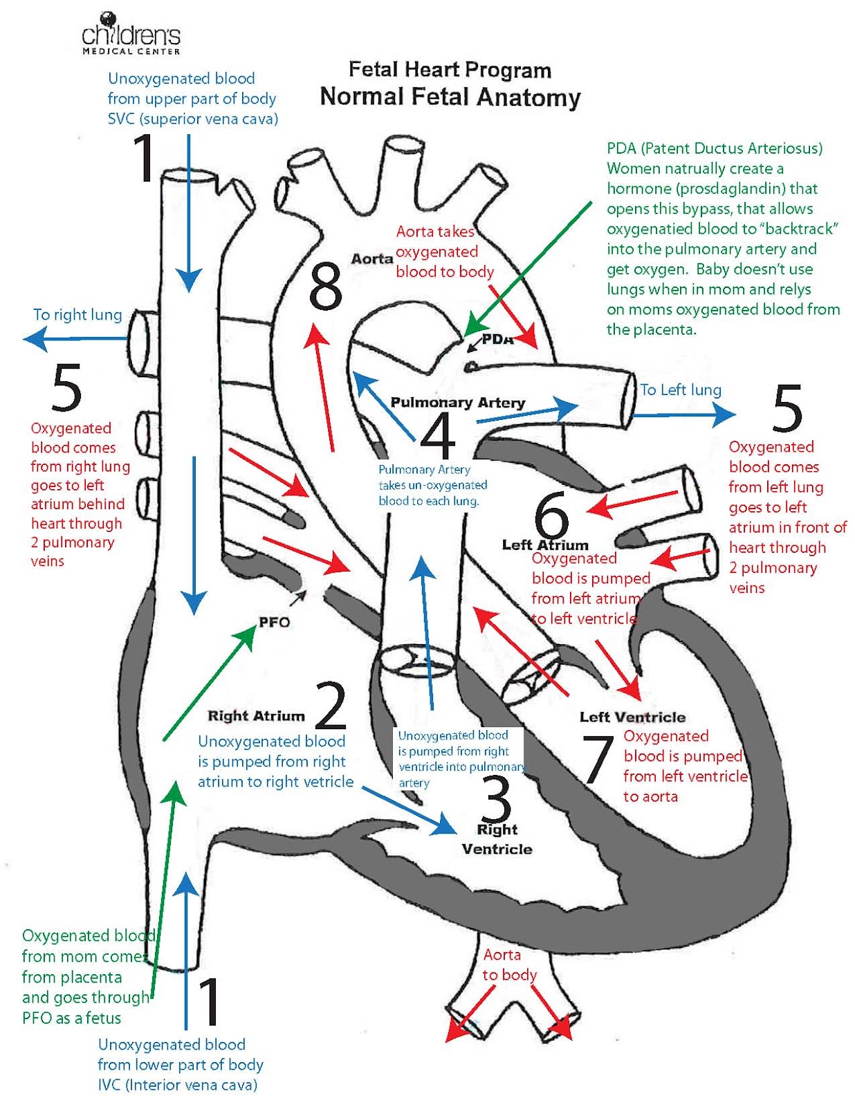 Kaleb Prinz KALEB'S HEART CONDITION