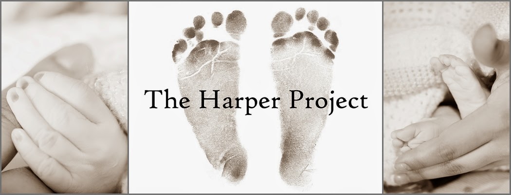 The Harper Project
